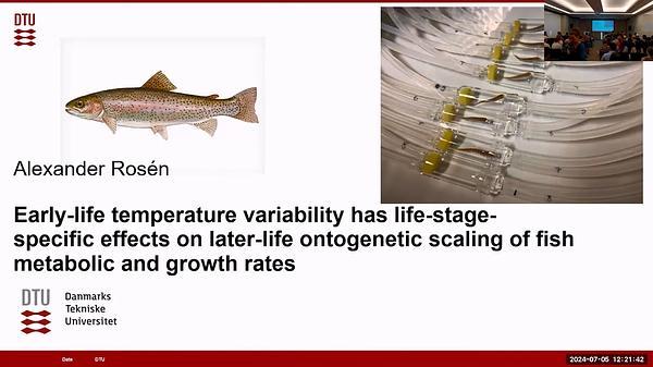 Early-life temperature variability has life-stage-specific effects on later-life ontogenetic scaling of fish metabolic and growth rates