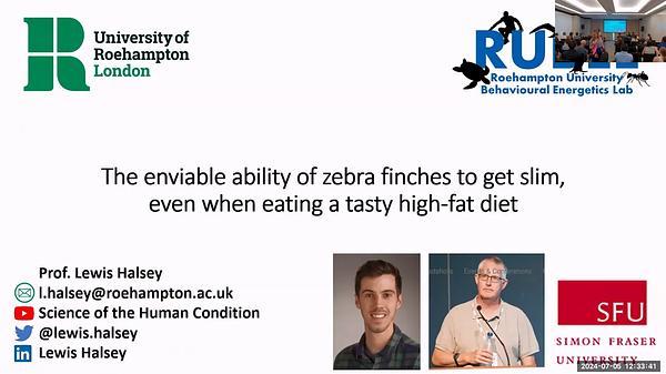 The enviable ability of zebra finches to get slim, even when eating a tasty high-fat diet