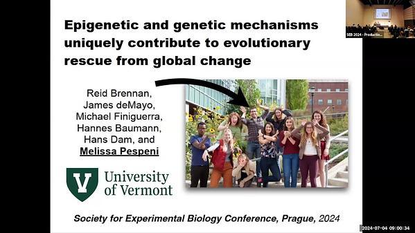 Epigenetic and genetic mechanisms uniquely contribute to evolutionary rescue from global change