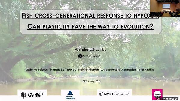 Fish cross-generational response to hypoxia: can plasticity pave the way to evolution?