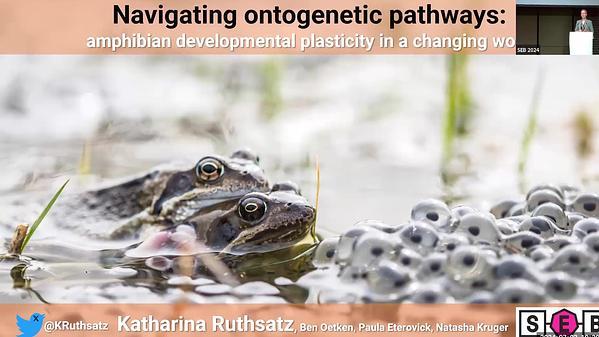 Navigating ontogenetic pathways: amphibian developmental plasticity in a changing world