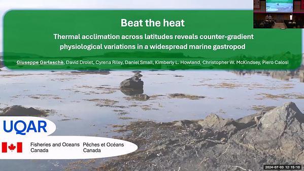 Beat the heat. Thermal acclimation across latitudes reveals counter-gradient physiological variations in a widespread marine gastropod.