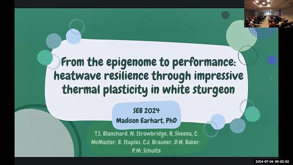 From the epigenome to performance: heatwave resilience through impressive thermal plasticity in white sturgeon