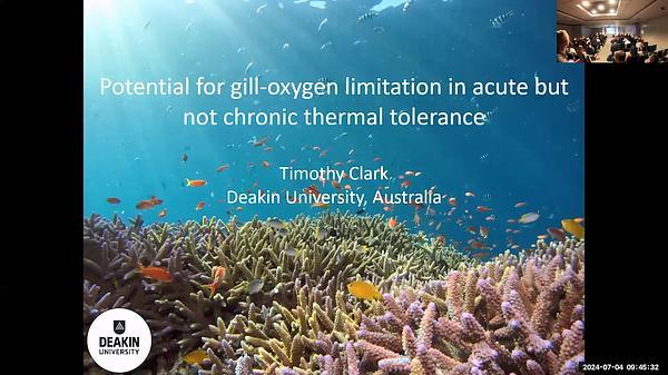 Potential for gill-oxygen limitation in acute but not chronic thermal tolerance