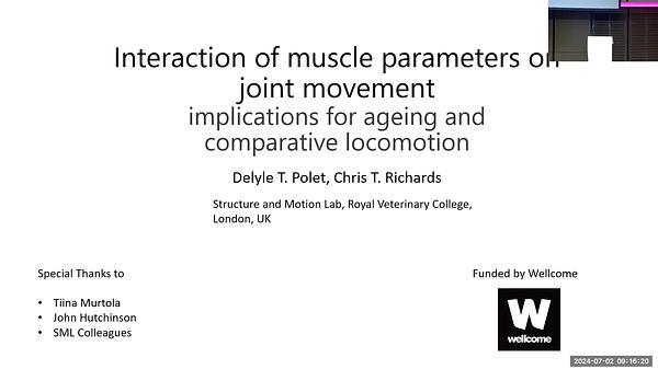Interaction of muscle parameters on ballistic joint movement - implications for ageing and comparative locomotion
