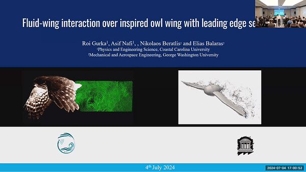 Fluid-wing interaction over inspired owl wing with leading edge serrations