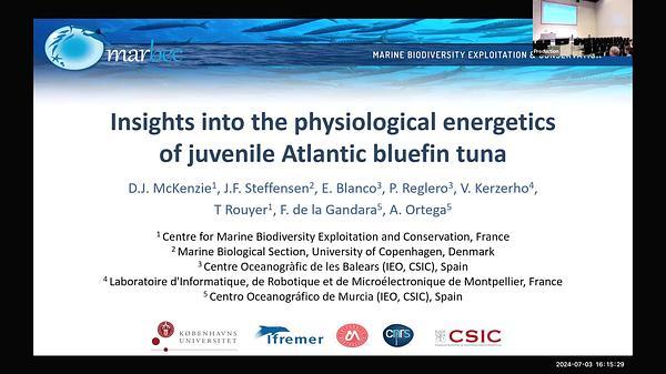 Insights into the in-vivo physiological energetics of juvenile Atlantic bluefin tuna