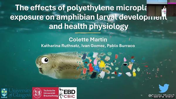 The effects of polyethylene microplastic exposure on amphibian larval development and health physiology