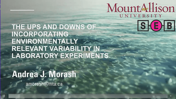 The ups and downs of incorporating environmentally relevant variability in laboratory experiments