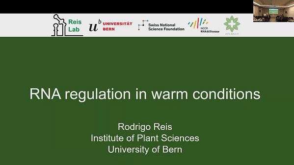 RNA regulation in warm conditions