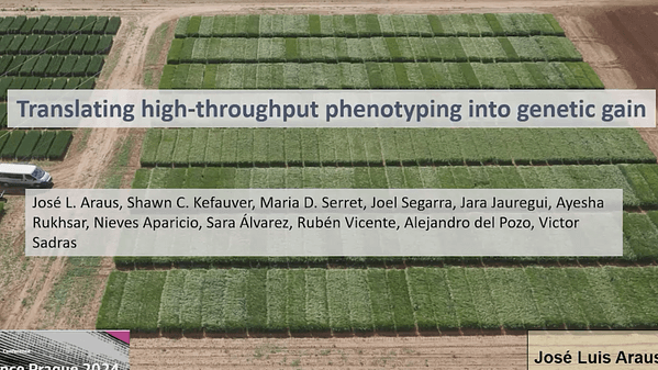 Translating high-throughput phenotyping into genetic gain
