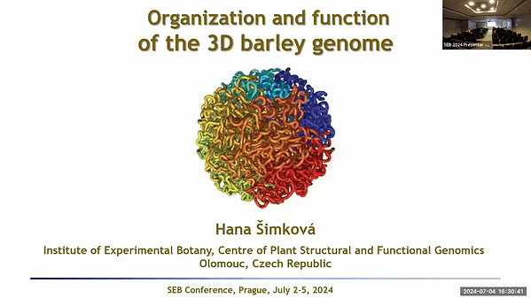 Organization and function of the 3D barley genome