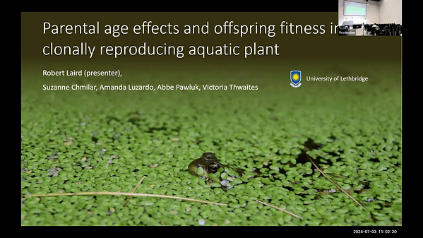 Parental age effects and offspring fitness in a clonally reproducing aquatic plant