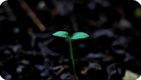 background image for Life Sciences