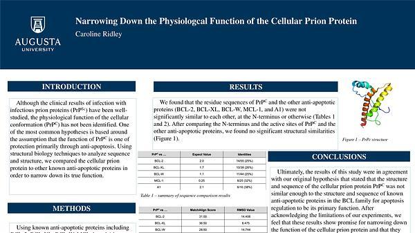 Narrowing Down the Physiologcal Function of the Cellular Prion Protein