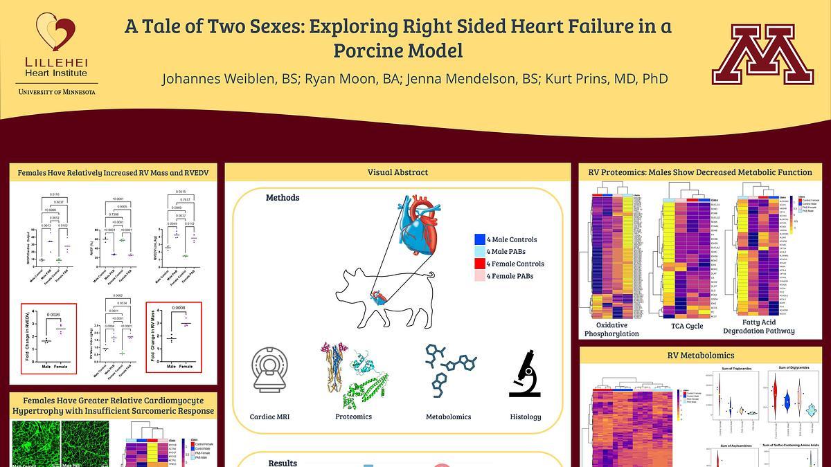 Lecture image placeholder