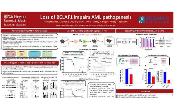 Loss of BCLAF1 impairs AML pathogenesis