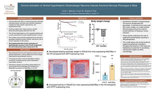 Chronic Activation of Ventral Hypothalamic Glutamatergic Neurons Induces Anorexia Nervosa Phenotype in Mice