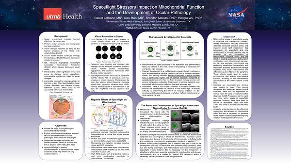 Spaceflight Stressors Impact on Mitochondrial Function and the Development of Ocular Pathology
