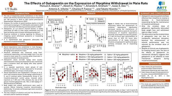The Effects of Gabapentin on the Expression of Morphine Withdrawal in Male Rats