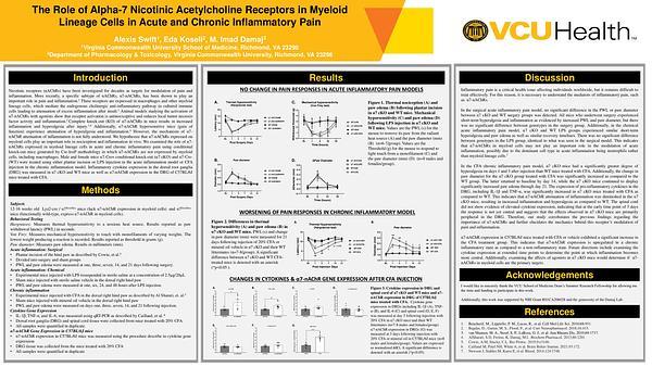 The Role of Alpha-7 Nicotinic Acetylcholine Receptors in Myeloid Lineage Cells in Acute and Chronic Inflammatory Pain