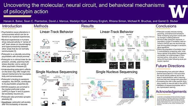 Uncovering the molecular, neural circuit, and behavioral mechanisms of psilocybin action