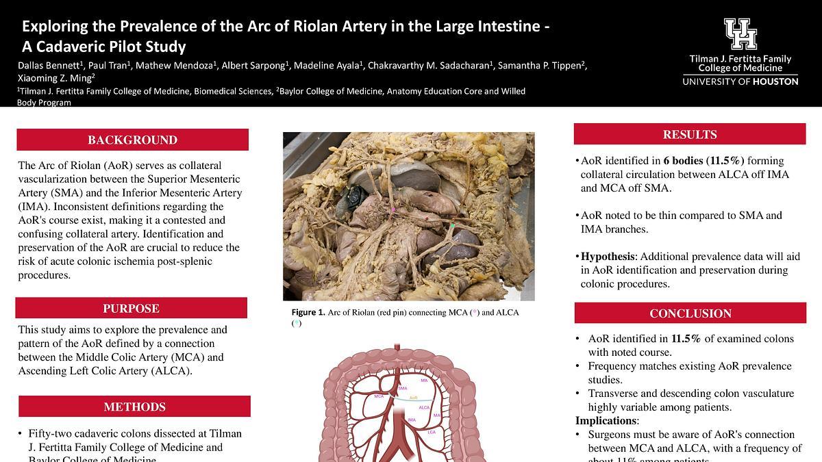 Lecture image placeholder