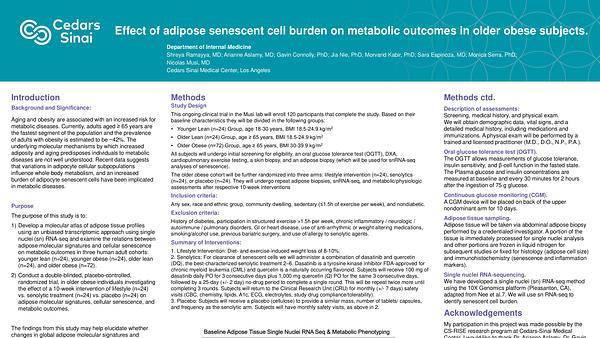 Effect of Adipose Senescent Cell Burden on Metabolic Outcomes in Older Obese Subjects