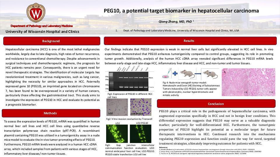Lecture image placeholder