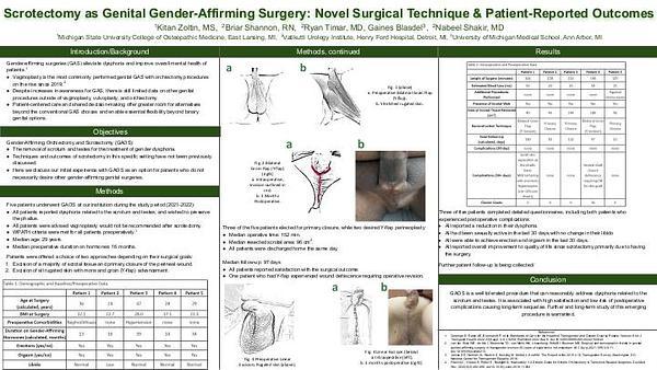 Scrotectomy as Genital Gender-Affirming Surgery: Novel Surgical Technique and Patient-Reported Outcomes