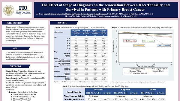The Effect of Stage at Diagnosis on the Association Between Race/Ethnicity and Survival in Patients with Primary Breast Cancer