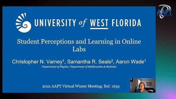 Student Perceptions and Learning in Online Labs