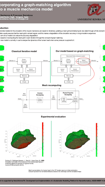 Incorporating a graph-matching algorithm into a muscle mechanics model