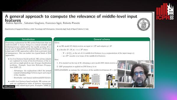 A general approach to compute the relevance of middle-level input features