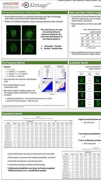 Confidence Calibration for Deep Renal Biopsy Immunofluorescence Image Classification