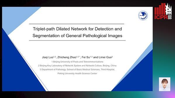 Introduction of A Triplet-path Dilated Network for Detection and Segmentation of General Pathological Images