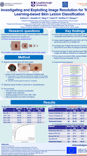 Investigating and Exploiting Image Resolution for Transfer Learning-based Skin Lesion Classification