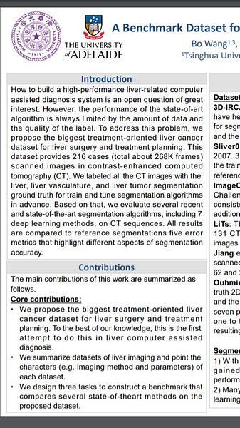 A Benchmark Dataset for Segmenting Liver, Vasculature and Lesions from Large-scale Computed Tomography Data
