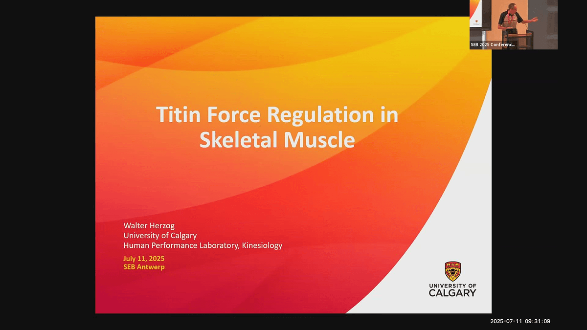 Lecture image placeholder