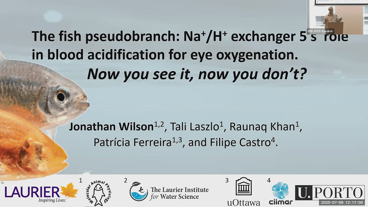 Lecture image placeholder
