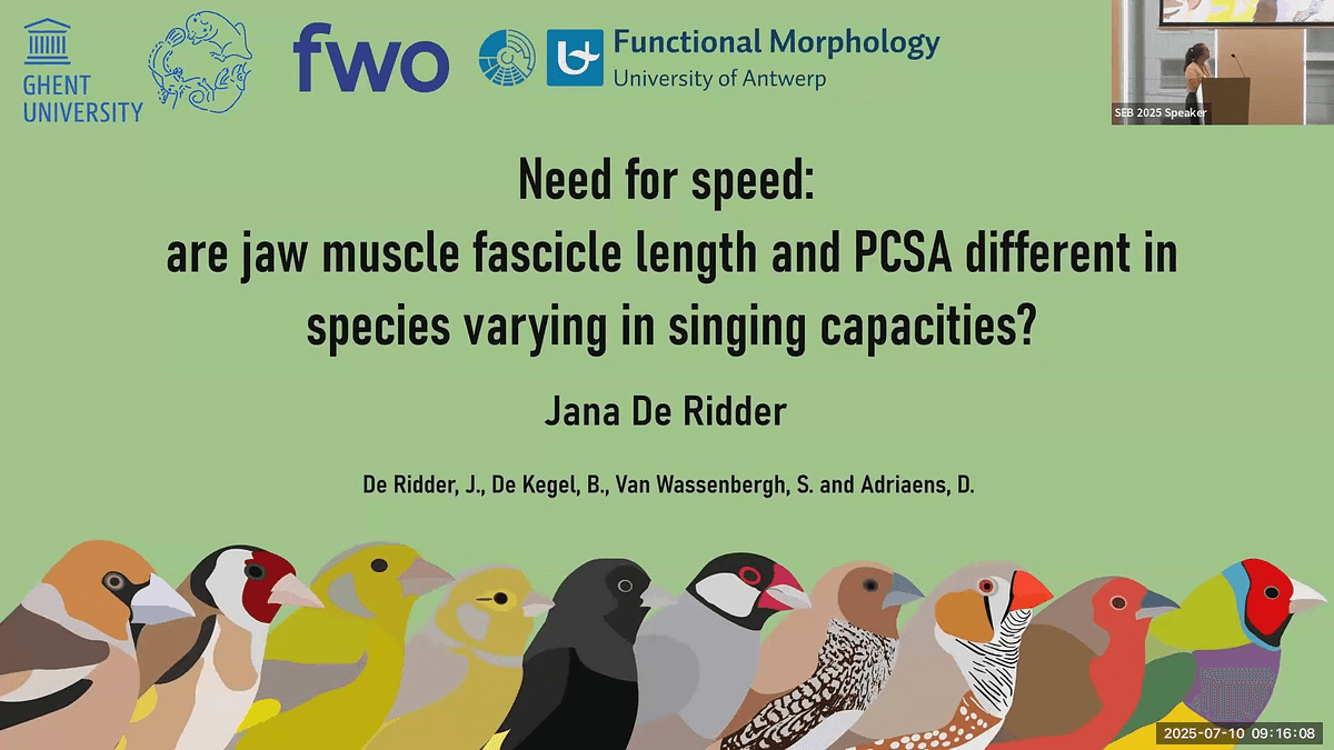 Lecture image placeholder