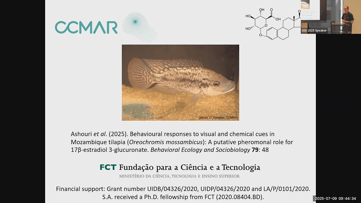 Lecture image placeholder