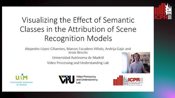 AIVisualizing the Effect of Semantic Classes in the Attribution of Scene Recognition Models
