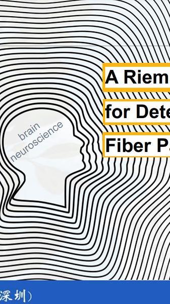 A Riemannian Framework for Detecting Stimulus-Relevant Fiber Pathways