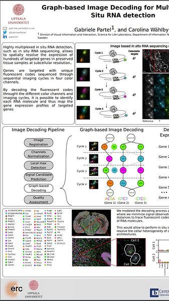Graph-based Image Decoding for Multiplexed In Situ RNA Detection