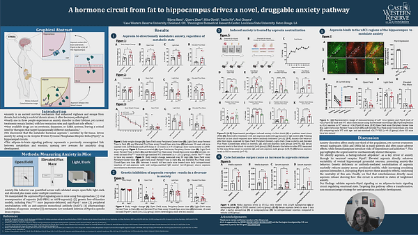 A hormone circuit from fat to hippocampus drives a novel, druggable anxiety pathway