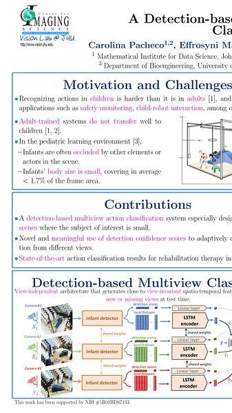 A Detection-based Approach to Multiview Action Classification in Infants