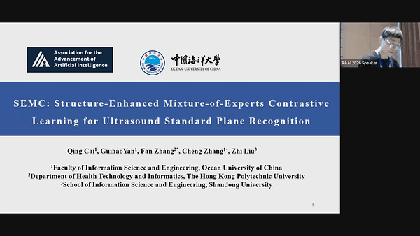 SEMC: Structure-Enhanced Mixture-of-Experts Contrastive Learning for Ultrasound Standard Plane Recognition