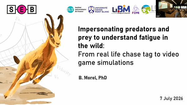 Impersonating predators and prey to understand fatigue in the wild: from real life chase tag to video game simulations