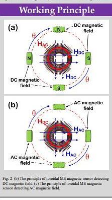  Ultra-lower anisotropy magnetic field sensor in ferrite/piezoelectric toroidal magnetoelectric composites
